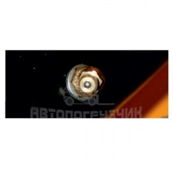 WARUN HT-PU, тележка гидравлическая - фото 5 WARUN HT-PU, тележка гидравлическая - фото 5